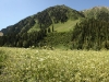 IMG_2650 Panorama_resize